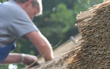 professional Washwood Heath thatchers